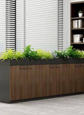 公室隔断柜文件槽柜BCV资料柜花柜花柜储物木质办柜矮边柜柜花草