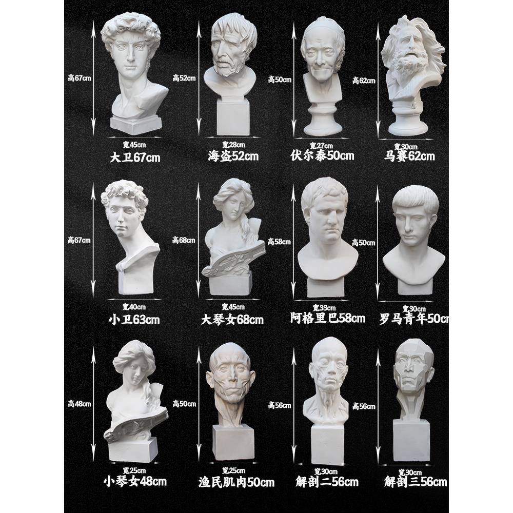 卫石膏像膏维纳斯素描石膏石马赛膏大琴女荷马阿格里巴石lzy70186