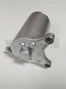 适用于天王太子XV250马达 XV125启动电机QJ250-H LF250起动马达