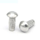 标牌铆钉 铝铆钉GB827滚花铭牌铆钉半圆头扁头商标铆钉M2M2.5M3M4