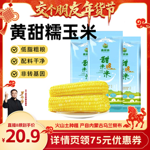 【交个朋友年货节】鑫蒙穗黄糯玉米内蒙古新鲜低脂软糯香甜苞谷