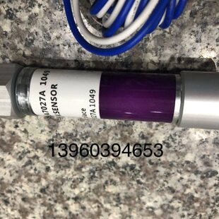 UV电眼C7027A1049 C7027A1023 C7027A1072 C7035A1064 火焰探测器