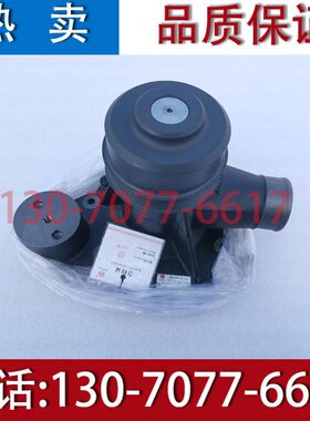 潍柴WD615 WD618水泵WD10 WP12船用柴油机原厂配件海水自吸泵
