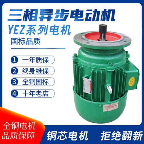 真牛电机YEZ112L-4/4.5KW法兰250mm300mm锥形转子三相异步电动机