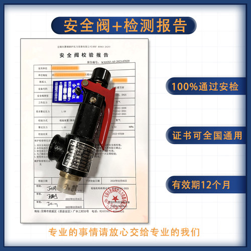 安全阀代检测A27W/T储气罐泄压阀带第三方正规检测报告合格证ISO