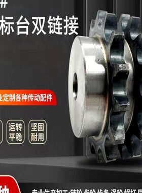 45钢欧标台双链轮1寸16B10/11/12/13/14/15/16/17/18/19/20-26齿