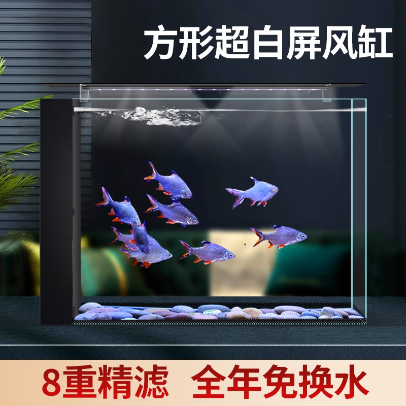 2025新款客厅小型家用屏风缸桌面生态I过滤热带超白玻璃热带金鱼