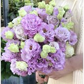 波浪浅紫色桔梗4拼花800克左右
