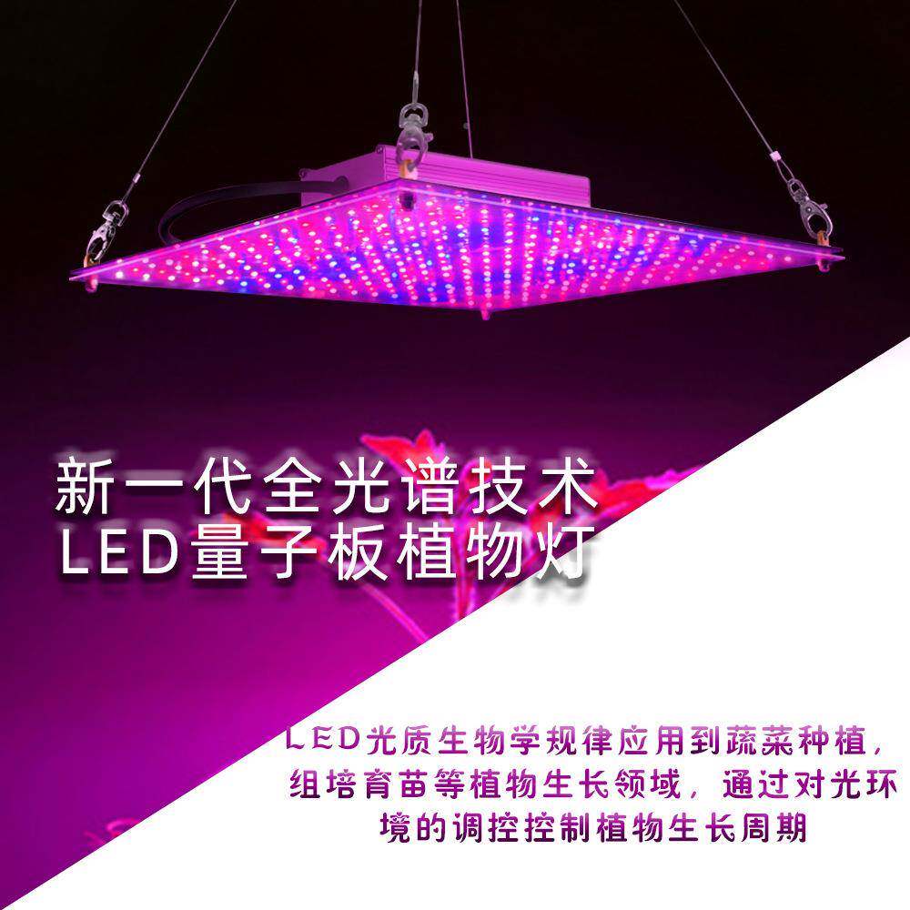 跨热境销led全光植物灯1000W板大谱CTE功率量子生长灯草莓多肉补