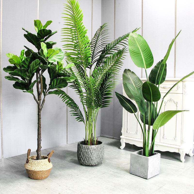 仿内真树植物植盆栽室-大型盆景客厅人琴叶榕假绿树造葵树芭蕉树