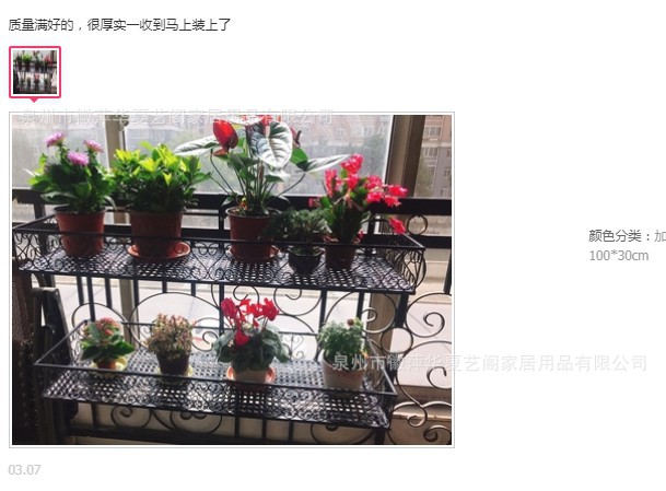 欧式双层栏杆花架悬挂阳台护栏铁艺多层花盆架多肉植物架双层更图片