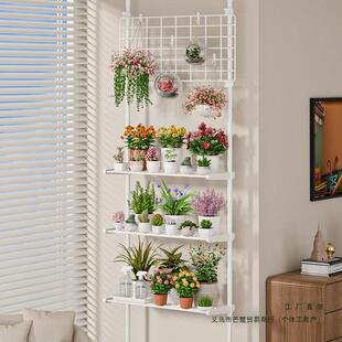 多肉花架置物架阳台层架顶天立地客厅支撑杆展示架室内植物摆放架