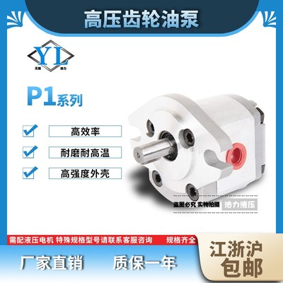 齿轮泵P101 P102 P127 P135 P104 P105 P106 P107 P109