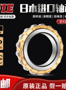 进口 UIE轴承N NUP NJ NU1008 1009 1010 1011-E-XL-TVP2-M1-JP-C