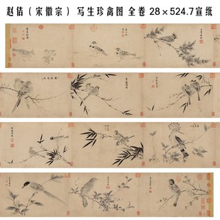 赵佶(宋徽宗) 写生珍禽图 全卷 28524.7 国画画心装饰画 高清