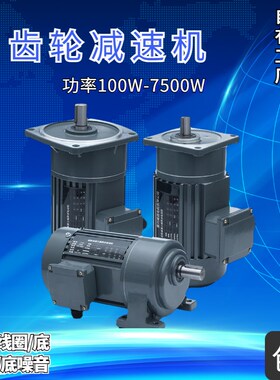 东本卧式380V齿轮减速电机  400w750w1K500W立式三相调速晟邦马达