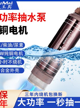 大功率电动抽水泵小型潜水泵家用12v24VK直流220v油水两用抽油泵
