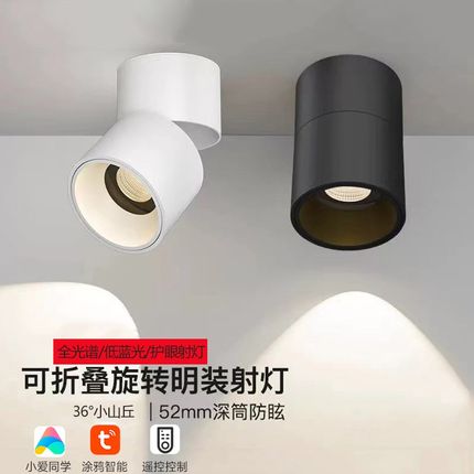 明装射灯可调角度客厅LED天花灯家用照画小山丘智能调光吸顶筒灯