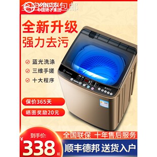 鹏音伴中国扬子集团出品洗衣机全自动家用10KG大容量租房用波轮小型宿舍摆件饰品