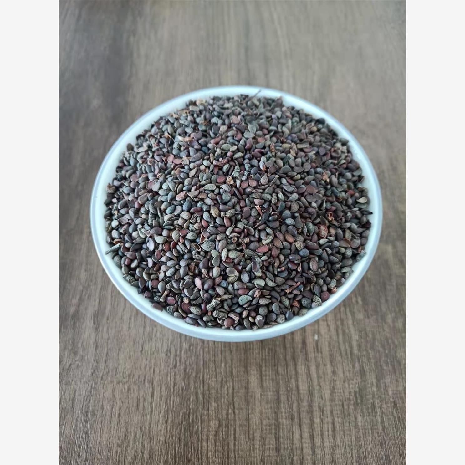 杜梨种子棠梨海野生籽散