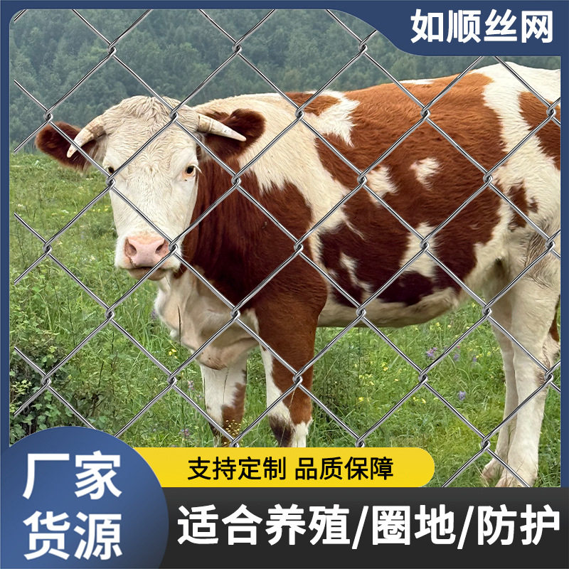 防锈镀锌铁丝网钢丝网户外围护栏网家用养殖牛羊拦鸡网菜园勾花网