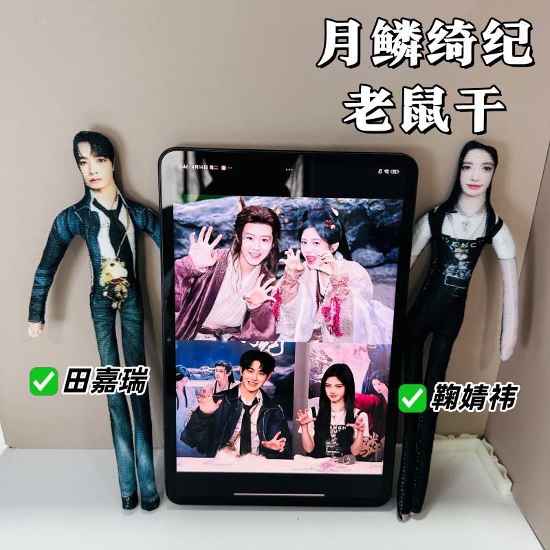 月鳞绮纪鞠婧祎田嘉瑞抽象老鼠干毛绒玩偶内置铁丝可任意造型