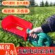 电动采茶机新款 无刷锂电单人小型茶叶修剪采茶神器绿篱机 充电式