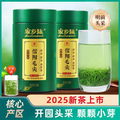 2025新茶上市信阳毛尖绿茶明前特级小嫩芽高山手工春茶叶散装250g