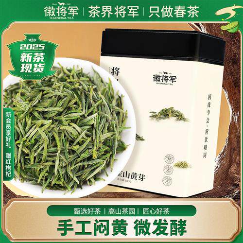 徽将军2025新茶将出霍山黄芽明前特级嫩芽原产地黄茶茶叶安徽春茶