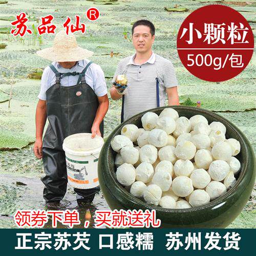 小颗粒】新货鸡头米干货苏州芡实鸡头米500g包邮苏芡茨实米白芡实