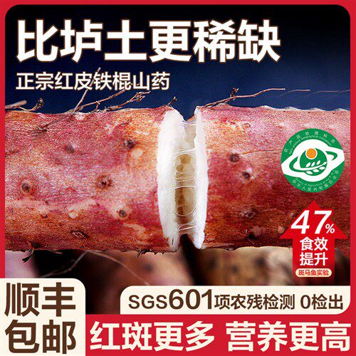 焦作温县红皮乌鸡土铁棍山药河南怀山淮山药新鲜正宗5斤铁杆特产