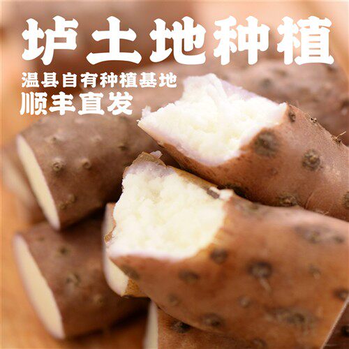 河南温县焦作正宗铁棍山药新鲜怀山淮山垆土铁杆根紫山药粉糯50级