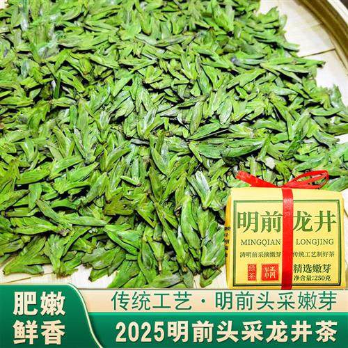2025年新茶明前头采龙井茶芽头 豆香茶叶正宗头春茶产地直发 绿茶