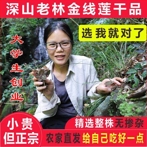 农家正宗金线莲整株干品50g深山林下原生态生长精选金线莲养生茶