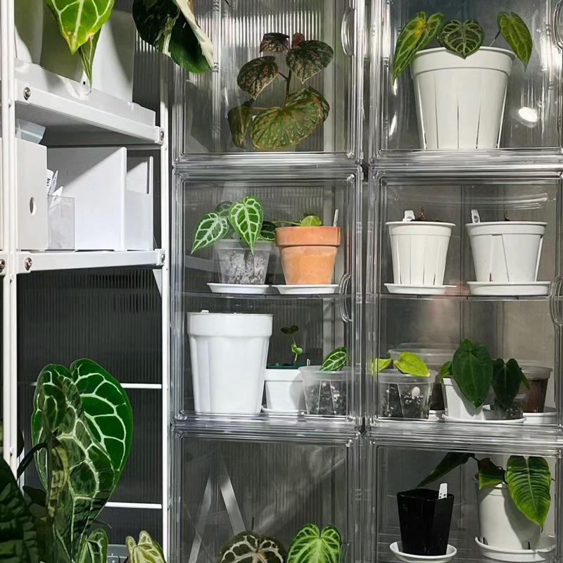 植物闷养箱热带植物保温箱家庭小温室暖棚阳台花房育X苗箱保湿防