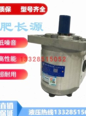 长源齿轮油泵 CBN-F520/F525/F532/F540/F550/F563/F580-BFH/BFPL