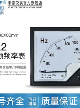 6L2中频频率表100v 1000hz 1500hz 2000hz指针赫兹表80*80mm450HZ