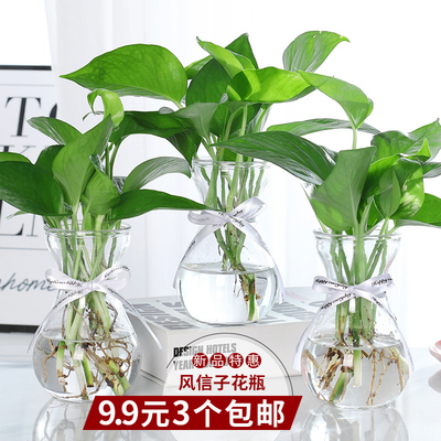 水培绿萝花瓶f简约创意玻璃水培植物花盆透明风信子 观音竹插花瓶