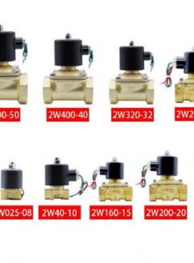 BOPU博普G1寸二位二通电磁水阀2W250-25 220V/24v