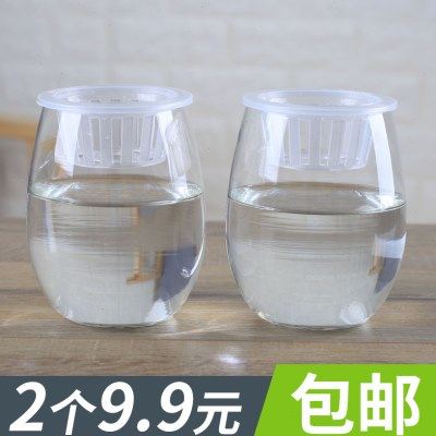 2个9.9元简约透明玻璃花瓶水培植物绿萝花瓶铜钱草花盆桌面插花瓶,鲜花速递/花卉仿真/绿植园艺,花瓶,淘宝优惠券,粉丝福利购,淘宝优惠卷