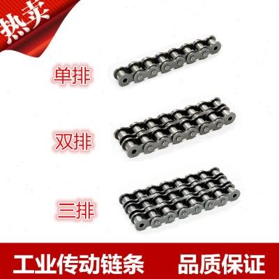 工业传动链条1.2寸滚子链20A短节距滚子链单/双/三排48节/条1.5米,五金/工具,传动链,淘宝优惠券,粉丝福利购,淘宝优惠卷