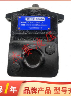 DENISON美国丹尼逊柱塞泵T6CM R12 3R00 C1油泵T6CM R12 3R00 C1