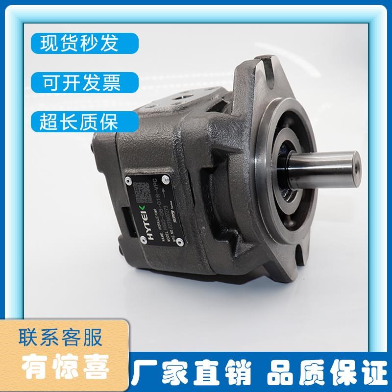 海特克内啮合齿轮泵HG0 HtG1 HG2伺服油泵注塑机油泵液压油泵总成