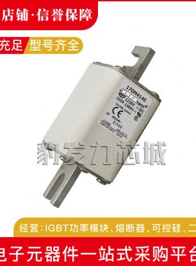 170M4108 170M4109 170M4110 170M4111 170M4112 170M4113熔断器