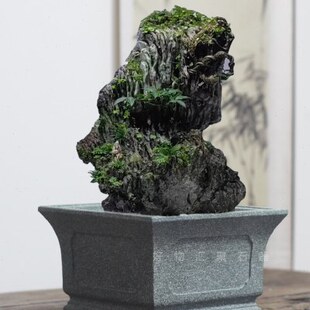 复古青石花盆水培吴定石菖蒲盆景盆福建山石盆刻花窗放石头的石槽