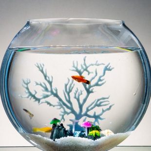 玻璃鱼缸圆形大号加厚扁圆形中号玻璃花瓶水族箱桌面玻璃花瓶简约