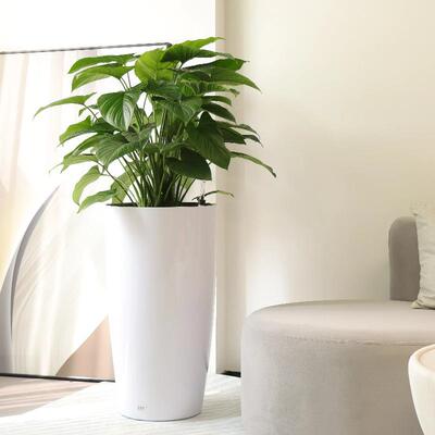 爱圆水形大号落地高级感简约客厅商场3300M自吸懒人植塑料花花盆