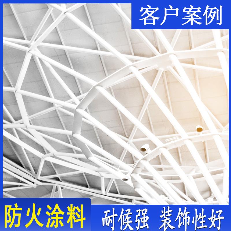 西型子防火涂料室内外超型厚非膨胀木防火涂料薄饰制钢结构油漆防