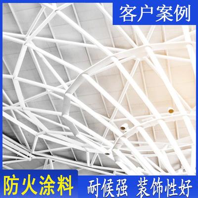 西型子防火涂料室内外超型厚非膨胀木防火涂料薄饰制钢结构油漆防