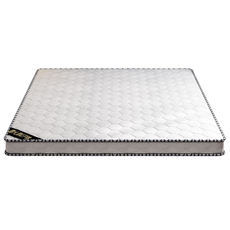 棕垫天然椰棕床垫家用卧室10cm儿童床垫可折叠Q榻榻米护脊加硬棕